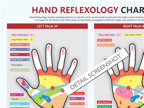 Hand Reflexology Chart Digital Download Pdf Reflexology Chart Reflexology Massage Zone