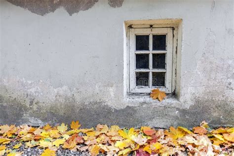 Autumn Window Stock Photo Image Of Home Lifestyle Sunny 1838108