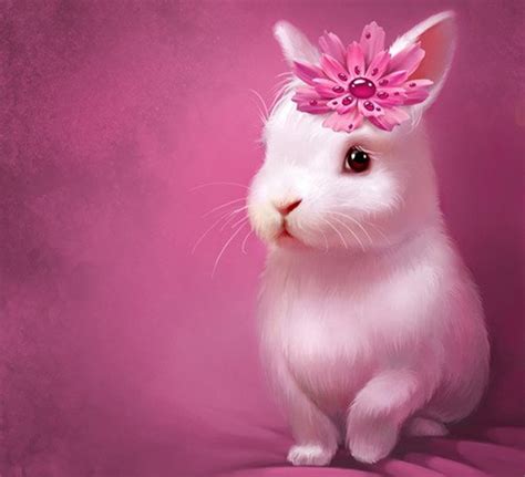 64 Cute Bunny Wallpaper Wallpapersafari