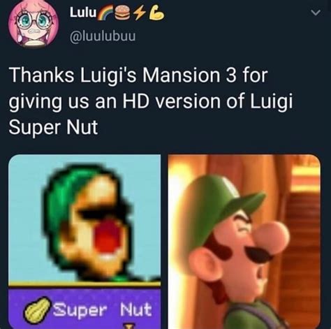 Thanks Luigis Mansion 3 For Giving Us An Hd Version Of Luigi Super Nut