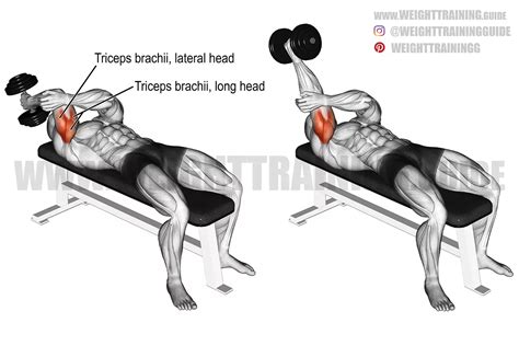 Lying One Arm Dumbbell Triceps Extension Instructions And Video