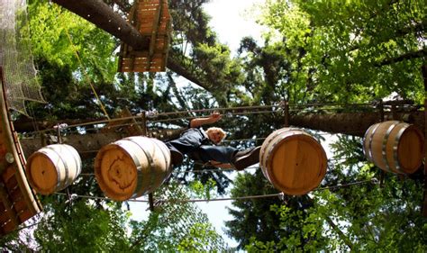 Słowenia jest wybierana jako główne miejsce rekreacji przez tych, którzy już wiedzą o pięknych krajobrazach, malowniczych wzgórzach i. Pustolovski Park - Park Przygód, Słowenia - atrakcje ...