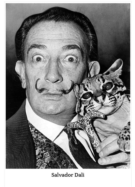 Salvador Dali And Pet Salvador Dali Ocelot Crazy Cat Lady Crazy Cats