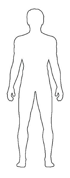 Human Body Outline Vector At Collection Of Human Body