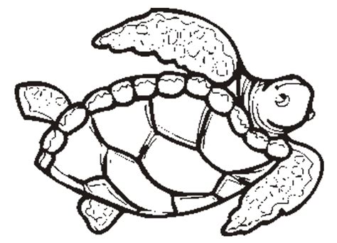 Hawaiian Turtle Outline Clipart Panda Free Clipart Images