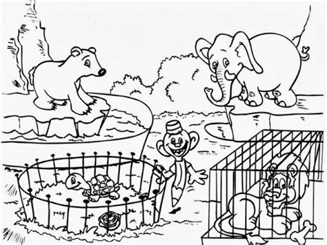 Mewarna Gambar Haiwan Di Zoo 3d Photo Wallpaper For Kids Room Cartoon