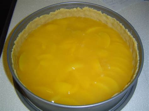 Kuchen etwas auskühlen lassen und aus der form nehmen. saftiger Pfirsich-Pudding-Kuchen - mit Früchten und ...