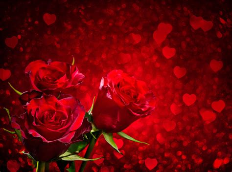 Red Roses and Hearts Background | Gallery Yopriceville ... Diy art pictures of black and white background red rose car high heels diamond painting.