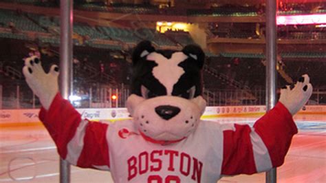 Shenanigans Boston Universitys Mascot Rhett Named Best In City Bc
