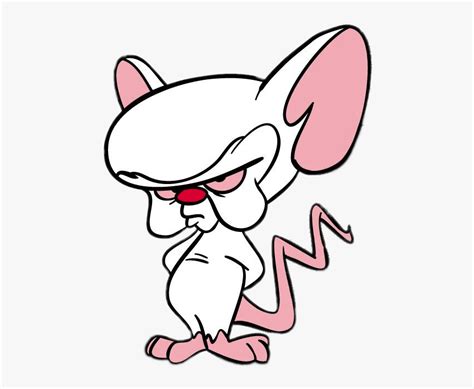 Pinky And The Brain Transparent HD Png Download Transparent Png Image PNGitem