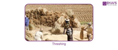 Threshing Floor Meaning In Tamil Review Home Decor