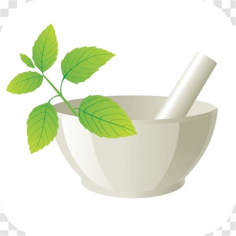 Image Clip Art Logo Ayurveda Vector Graphics Herbal Medicines