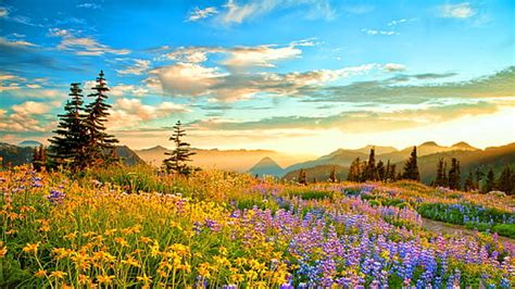 Hd Wallpaper Spring Flowers Mountain Lake Hills Red Cloud Sunset Hd