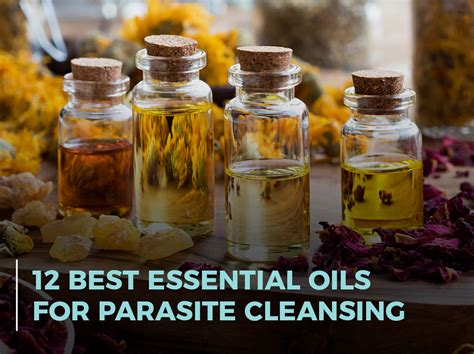 12 Best Essential Oils For Parasite Cleansing Microbe Formulas™