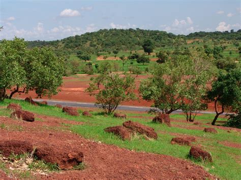The larger northwestern region of the country, which extends into the sahara, is almost entirely arid. Kayes Region - Wikipedia