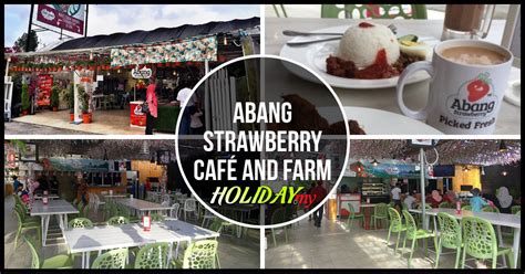 Abang Strawberry Café and Farm Cameron Highlands - Cameron Highlands