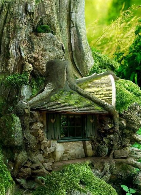 15 Must See Homes That Are Completely Enveloped By Nature