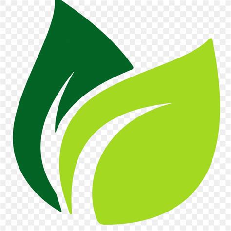 Leaf Logo Png 1248x1248px Leaf Brand Drawing Grass Green