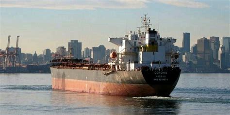 Diana Shipping Sells Ageing Panamax Bulker Tradewinds