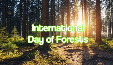 International Day Of Forests 2024 When Where And Why It Is Celebrated