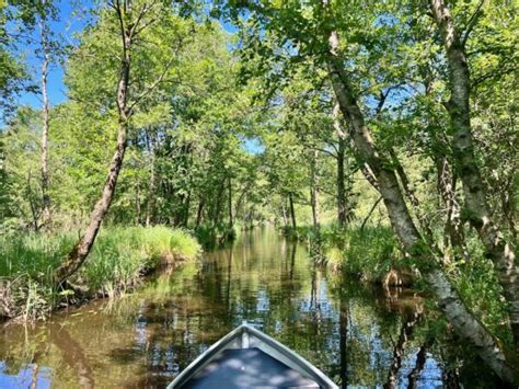 Things To Do In Giethoorn And Surroundings Velvet Escape