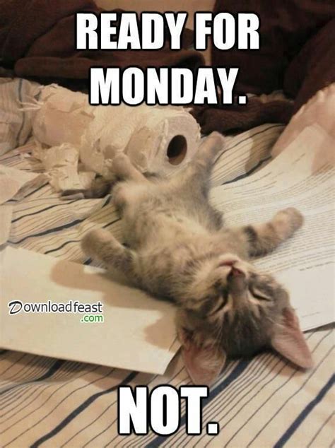 25 Happy Monday Memes To Make This Dreaded Day Extra Funny Work Money