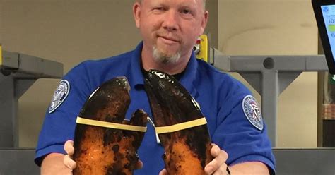man is angry tsa took selfie of his 20 pound lobster dinner