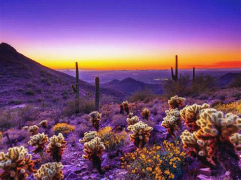 Purple Desert In 2021 Arizona Sunset Desert Sunset Arizona Travel
