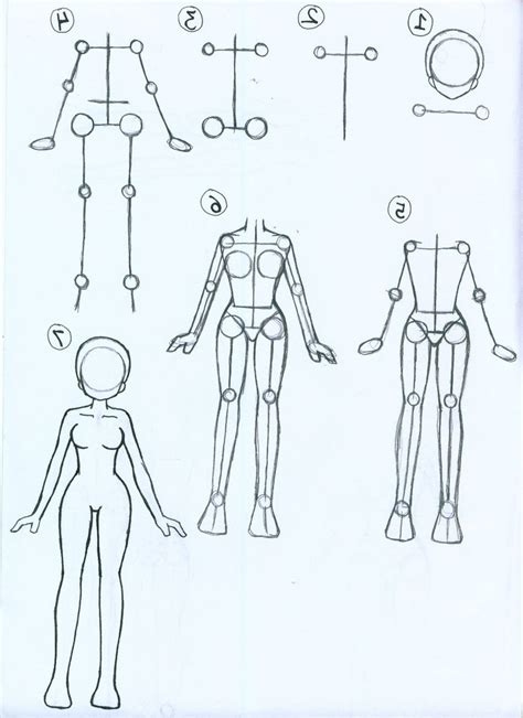 Anime How To Draw Body Careal