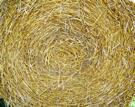 Straw Bale Works Compressed Grain Free Photo On Pixabay Pixabay