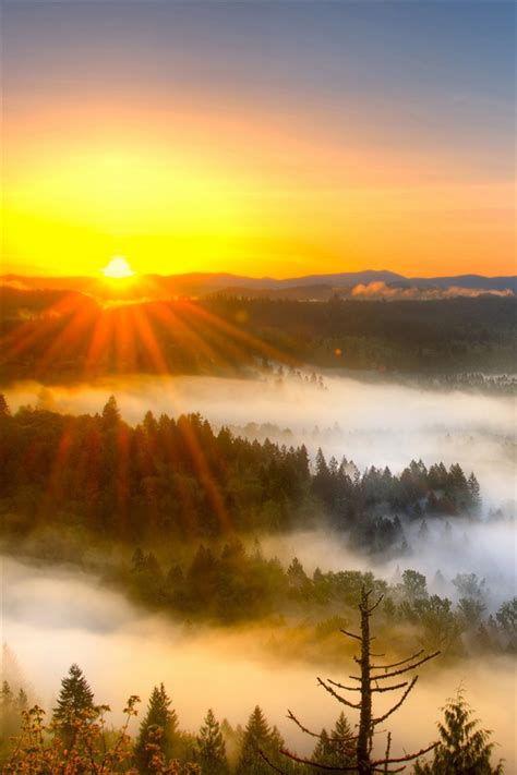Morning Mist Mountains Sunrise Iphone X 876543gs