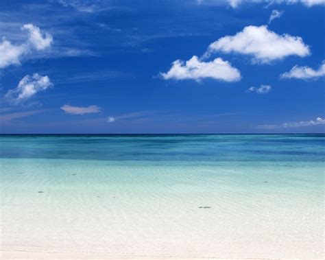 Free Download Beautiful Caribbean Beach High Resolution Windows 8