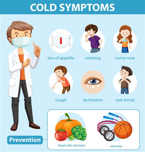 Medical Infographic Of Cold Symptoms And Prevention 1868621 Vector Art
