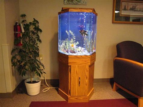 30 Gallon Hexagon Aquarium Hood Hexagon Fish Tank Fish Tank Stand