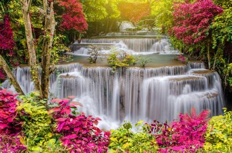 Travel To The Beautiful Waterfall In Tropical Rain Forest Soft Water