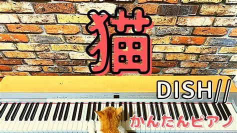 猫 Dish ゆっくりピアノ 初心者向け Easy Piano Neko Dish Slow Piano Beginner