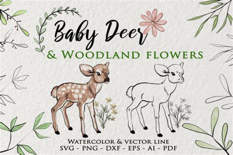 Baby Deer Clipart Watercolor Woodland Svg Cut Files Download Free
