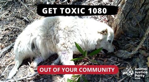 How To Ban 1080 Poison In Your Area Diy Pest Control