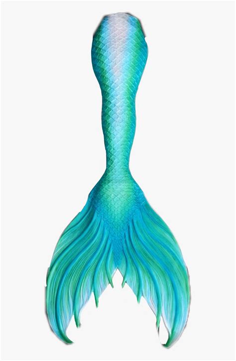 Blue Mermaid Tail Transparent Mermaid Tail Png Png Download Transparent Png Image PNGitem