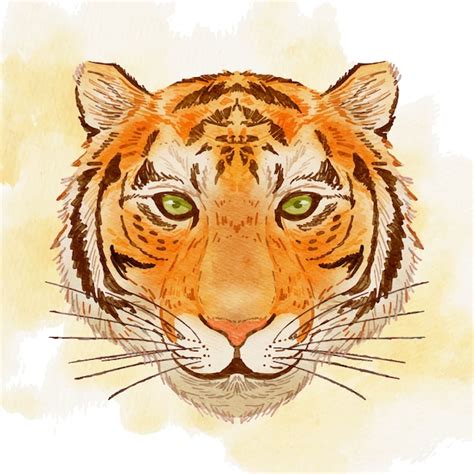 Dibujar a mano ilustración de cara de tigre Vector Premium
