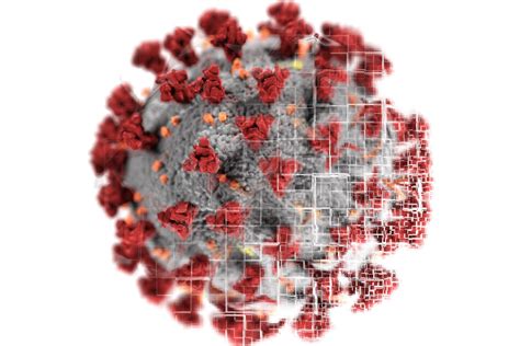 Coronavirus Fight Scientists Identify Covid 19 Drug That Kills The