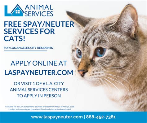 Cat wellness package for the health of your pet, snyp provides the following additional packaged services at the time of surgery. What Does A Neutered Cat Look Like