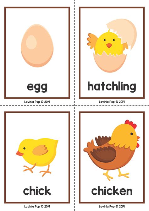 The life cycle comprises three basic stages: Farm Preschool Centers | Farm preschool, Farm theme ...