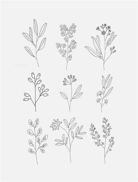30 Easy Ways To Draw Plants And Leaves Flower Line Drawings Plant
