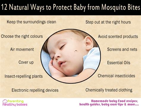 12 Natural Ways To Protect Baby From Mosquito Bites