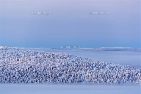 Finland Lapland Levi Sirkka Ski Resort At Dusk 11090010053 の写真素材