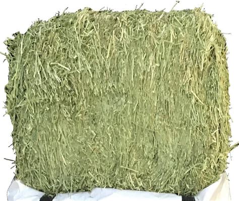 Ametza Compressed Alfalfa Hay Bale Horse Forage 50 Lb Bale