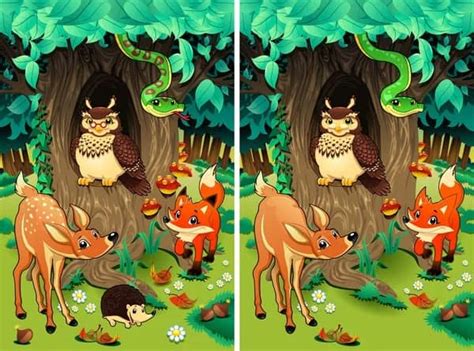 Spot The Difference Can You Spot 10 Differences In 21 Seconds