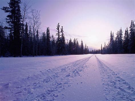 Snow In Road Wallpapers And Images Wallpapers Pictures