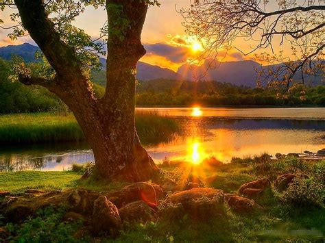 Beautiful Landscape Colorful Sunset Splendor Stream Tree